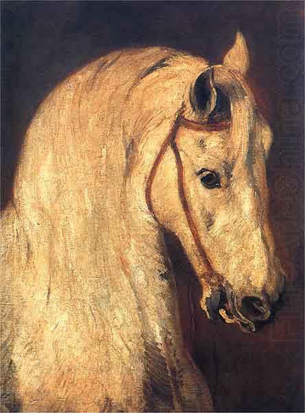 Studium of Horse Head, Piotr Michalowski